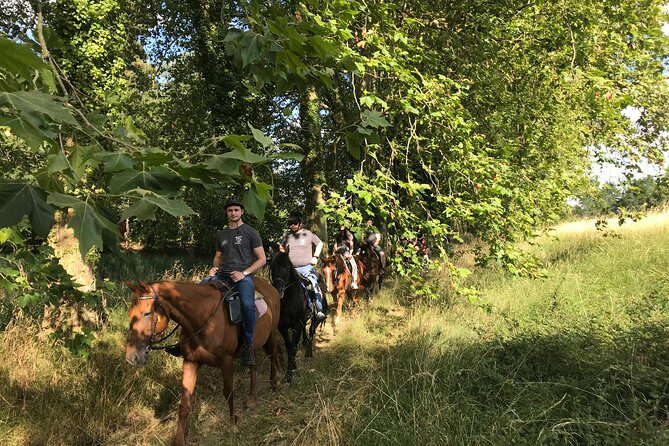 1-hour tourist walk with guide - Key things to know before you go