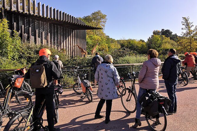 4h Complete Lyon Experience: E-Bike, Food Tasting & Old Town Walk - Tête d’Or park break: zoo, gardens, lake—and then the tasting