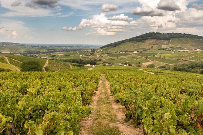 Beaujolais 100% wine tour Small-Group Tour with Tasting from Lyon - Key things to know before you go