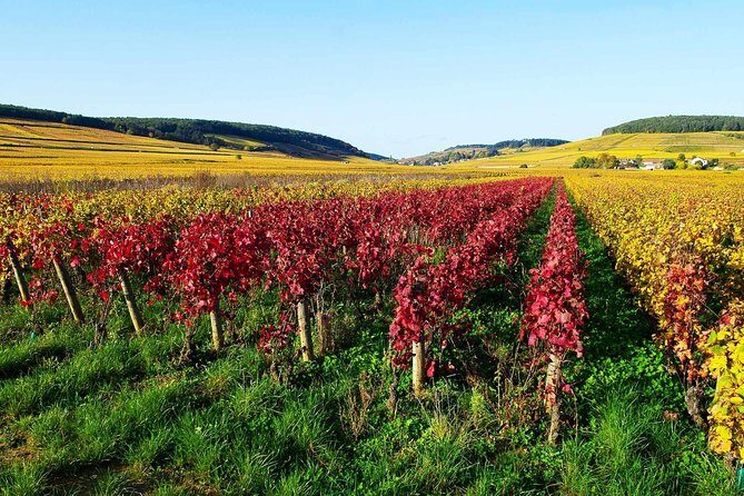 Beaujolais 100% wine tour Small-Group Tour with Tasting from Lyon - Meeting point at Pl. Bellecour and how the minivan ride feels