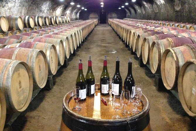 Beaujolais Crus Wines & Castles (2:00 pm - 6:30 pm) - Small Group Tour from Lyon - Quick take: what you’re really buying