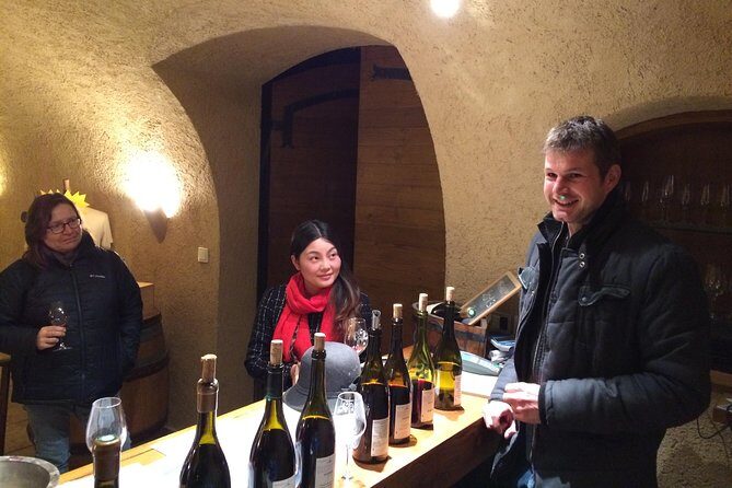 Beaujolais Crus Wines & Castles (2:00 pm - 6:30 pm) - Small Group Tour from Lyon - Chénas chateau cellar: oak barrels and a more classic scale