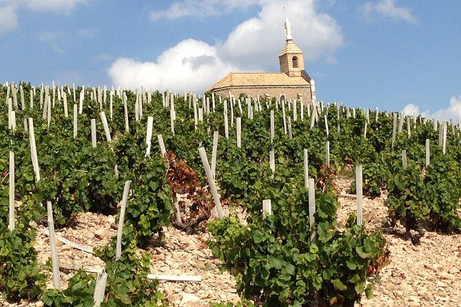 Beaujolais Crus Wines & Castles (2:00 pm - 6:30 pm) - Small Group Tour from Lyon - Wine tasting included: how the 9/10 wines fit together