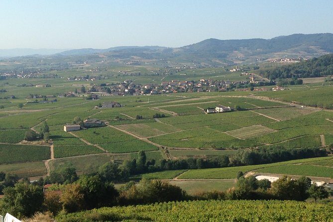 Beaujolais Crus Wines & Castles (2:00 pm - 6:30 pm) - Small Group Tour from Lyon - Guide quality and group size: why max 8 makes a difference