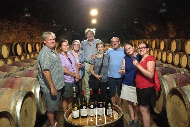Beaujolais Crus Wines & Castles (9:00 am - 1:30 pm) - Small Group Tour from Lyon - Chenas château cellar: oak barrels and structured tasting