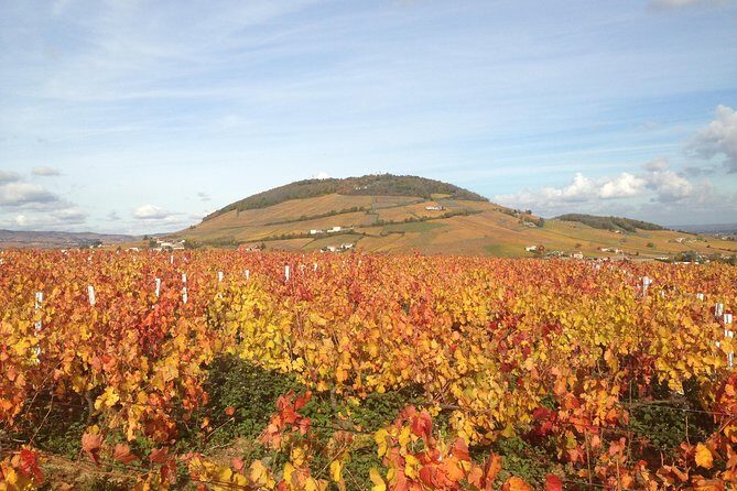 Beaujolais Crus Wines & Castles (9:00 am - 1:30 pm) - Small Group Tour from Lyon - Mont Brouilly family winery: meeting people, not just products