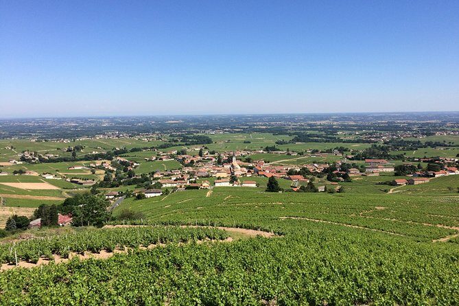 Beaujolais Crus Wines & Castles (9:00 am - 1:30 pm) - Small Group Tour from Lyon - The Route des Vins lesson: learning terroir without the lecture