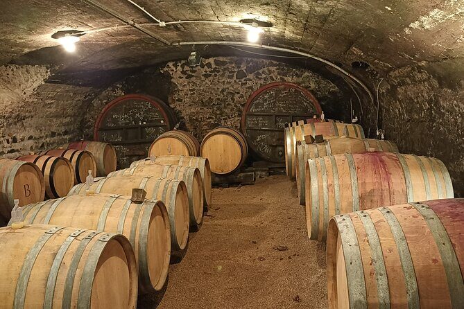 Beaujolais Day Guided Tour - Winery Tours and Tastings - Stop 2: Fleurie estate tasting and the terroir comparison