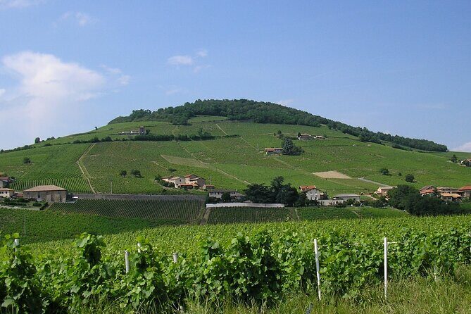 Beaujolais Half Day Wine Tasting Tour - Price and Value: What $119.48 Really Covers