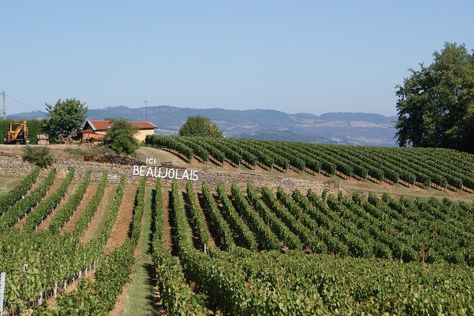 Beaujolais & Perouges Medieval Town (9:00 am to 5:15 pm - Small Group Tour Lyon - Oingt: ochre streets, a church stop, and big hill views