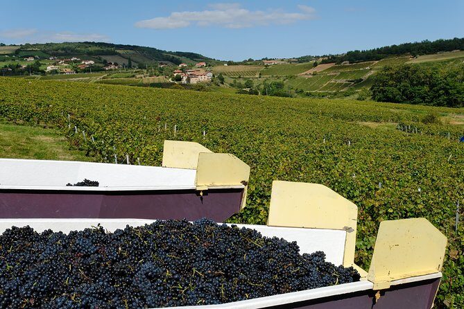 Beaujolais & Perouges Medieval Town (9:00 am to 5:15 pm - Small Group Tour Lyon - The Beaujolais lunch stop: good food, and you choose your pace