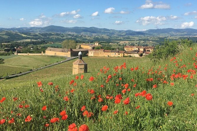 Beaujolais & Perouges Medieval Town - Private Tour - Full Day from Lyon - Oingt: Golden Stones, Vineyard Country, and a Real Winemaker Visit