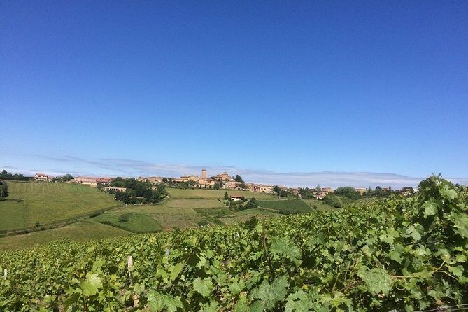 Beaujolais & Perouges Medieval Town - Private Tour - Full Day from Lyon - Beaujolais Tasting: More Than a Pour-and-Go