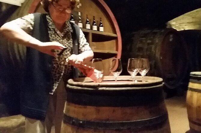Beaujolais Region Wine Tasting Private Day Tour from Lyon - Key things to know before you go