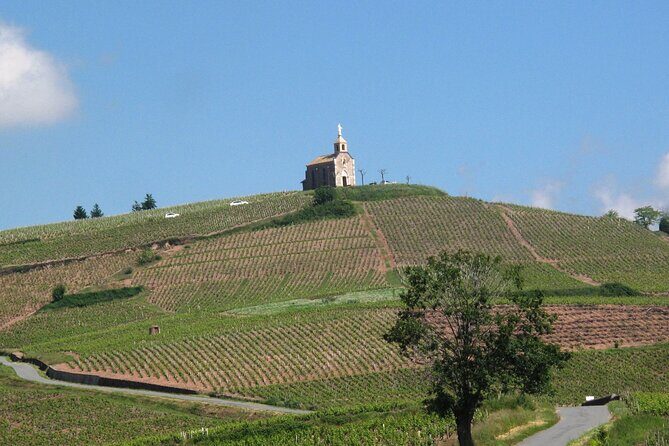Beaujolais Region Wine Tasting Private Day Tour from Lyon - Private Pickup From Lyon: When the Day Starts Smooth