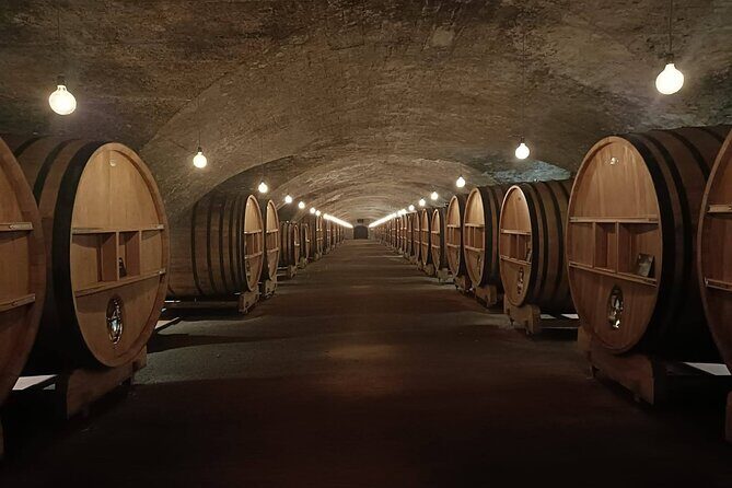 Beaujolais wine and Perouges village full day shared tour - Dombes road: lakes and poultry farms on the drive