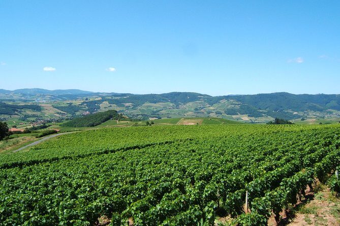 Beaujolais Wine Discovery - Half Day - Small group tour from Lyon - Châtillon d’Azergues and Bagnols: the Pierres Dorées route you’ll remember