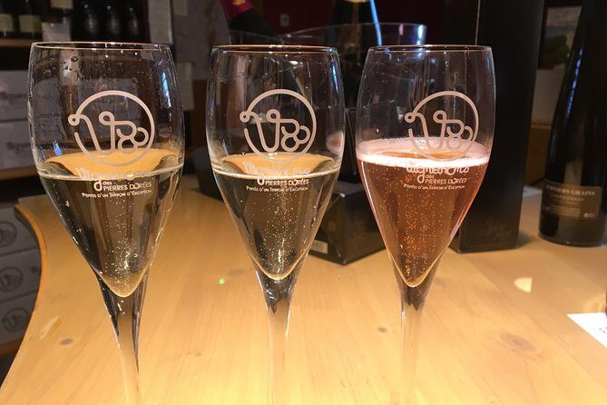 Beaujolais Wine Discovery - Half Day - Small group tour from Lyon - Moire winery visit: semi-carbonic maceration and red Beaujolais in the caveau