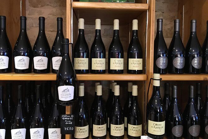 Beaujolais Wine Discovery - Half Day - Small group tour from Lyon - Price and logistics: does $131.25 feel fair for a half day?