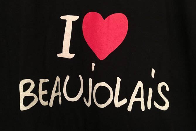 Beaujolais Wine Discovery - Half Day - Small group tour from Lyon - Who should book this Beaujolais Wine Discovery from Lyon