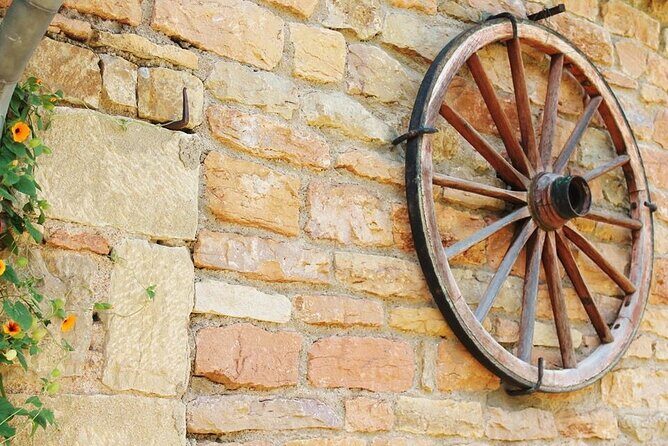 Beaujolais wine tour from Lyon half day - Small-Group Comfort and Air-Conditioned Transport From Lyon