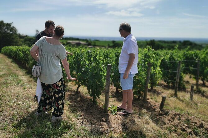 Beaujolais wine tour from Lyon half day - Price and Value: Is $131.82 Worth It?