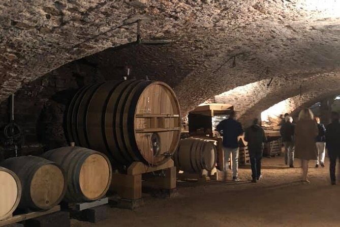 Cheese and Wine Accord Tour at Château de Champ-Renard - Who the tour guide is (and why it matters here)