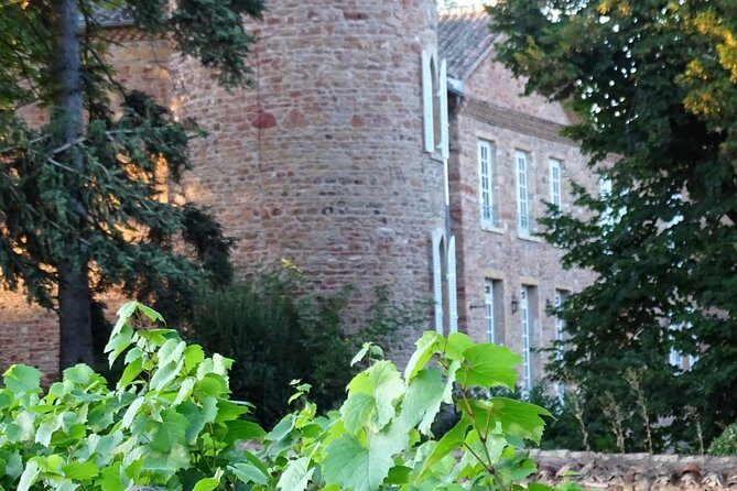 Cheese and Wine Accord Tour at Château de Champ-Renard - Should you book this cheese and wine accord tour?