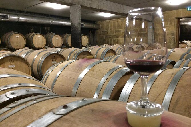 Cotes du Rhone Wine Tour (9:00 am to 5:15 pm) - Small Group Tour from Lyon - Key things that make this tour worth your time