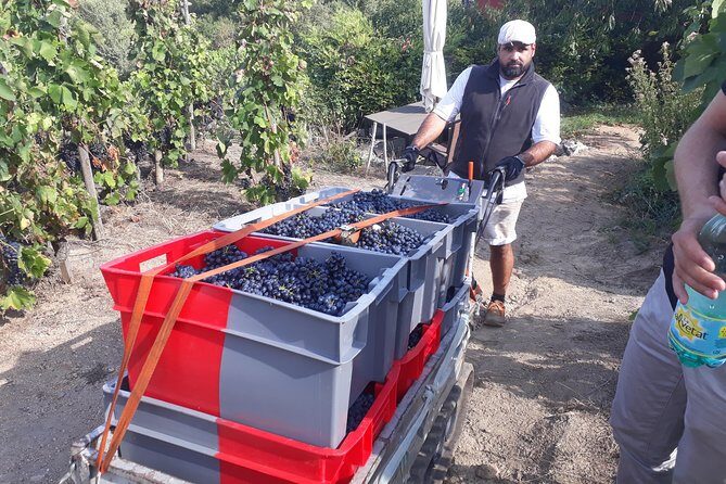 Cotes du Rhone Wine Tour (9:00 am to 5:15 pm) - Small Group Tour from Lyon - Winery stop one in Malleval: barrels, aging, and an organized tasting