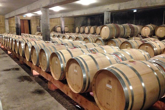 Cotes du Rhone Wine Tour (9:00 am to 5:15 pm) - Small Group Tour from Lyon - Chavanay for the third tasting: Syrah and Viognier in their home tones
