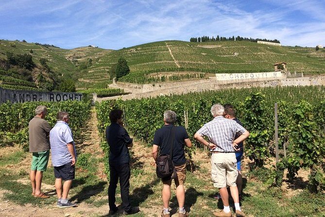 Cotes du Rhone Wine Tour - Private Tour - Full Day From Lyon - Key highlights worth marking on your map
