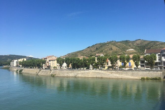 Cotes du Rhone Wine Tour - Private Tour - Full Day From Lyon - Your guide and wine connoisseur style of explaining