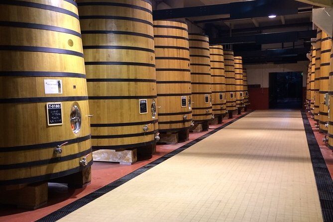Cotes du Rhone Wine Tour - Private Tour - Full Day From Lyon - Lunch break in Tain-l’Hermitage: plan your budget and pace