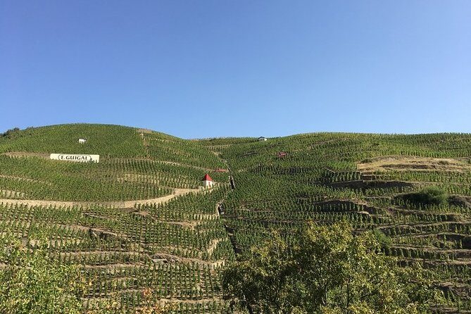 Cotes du Rhone Wine Tour - Private Tour - Full Day From Lyon - Ampuis: Viognier roots, Syrah capital energy, and Cote Rotie’s steep slopes