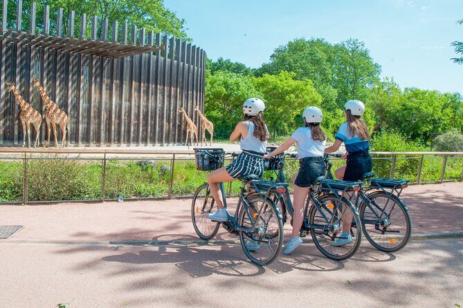 E-bike Tour by ComhiC - The Highlights - 3h - Berges du Rhône: Riverside Riding and Hill Views