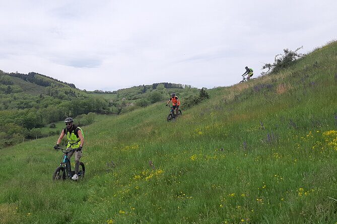 Electric scooter ride in the West of Lyon - Price and Value: Is $63.05 Worth It?