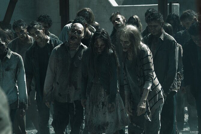 Escape Game outdoor The Walking Dead in Lyon - Where you start and how to stay oriented