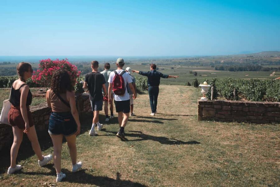 From Lyon : Beaujolais Private Day Tour by Vintage Defender - A vintage Defender makes Beaujolais feel personal