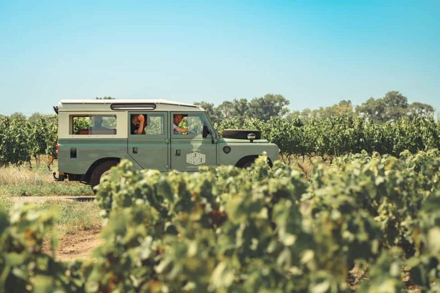From Lyon : Beaujolais Private Day Tour by Vintage Defender - The tastings: what to expect in each wine stop