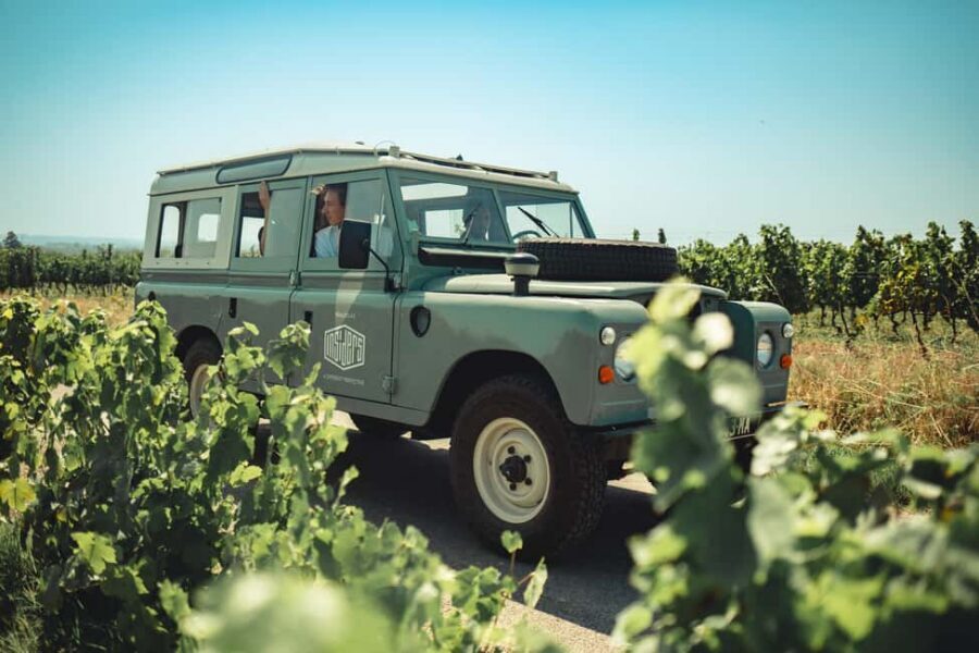 From Lyon : Beaujolais Private Day Tour by Vintage Defender - The guides make the day: Rachel, Amélie, Aldric, and more
