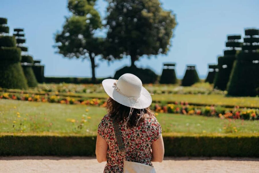 From Lyon: Beaujolais Wine Route Half-Day Tour - Two Winery Styles in One Day: from Chateau to Family Vines