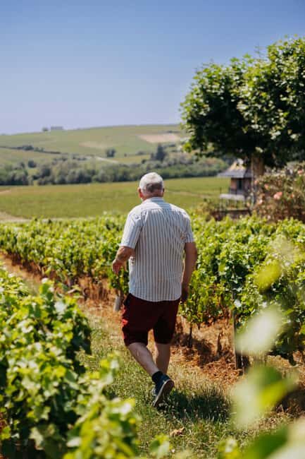 From Lyon: Beaujolais Wine Route Half-Day Tour - Why the English Guide and Small-Group Pace Matter