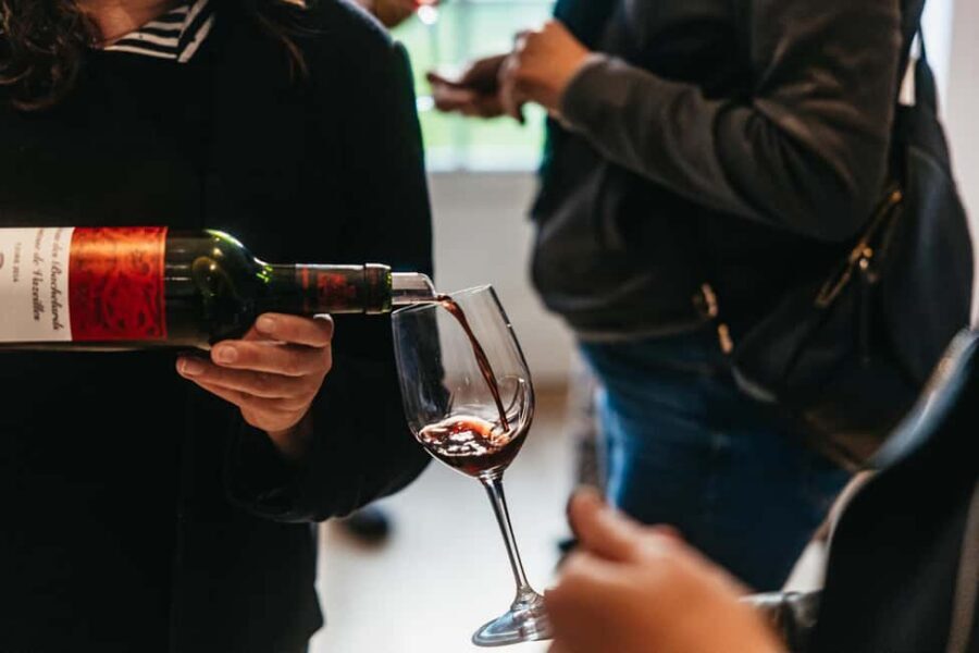From Lyon: Beaujolais Wine Tour with Tastings - A half-day Beaujolais tour that actually fits your schedule