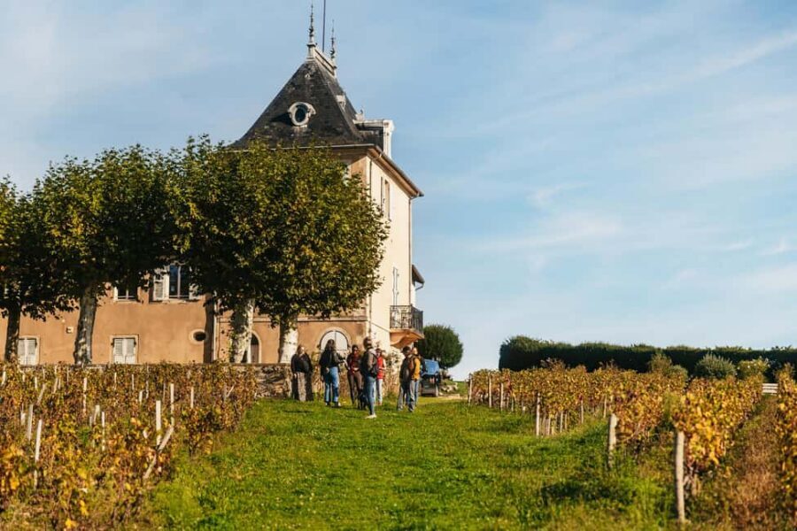 From Lyon: Beaujolais Wine Tour with Tastings - How the tastings connect to Beaujolais appellations and terroir