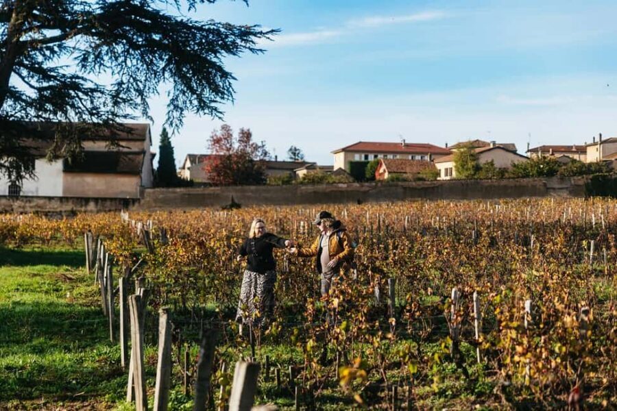 From Lyon: Beaujolais Wine Tour with Tastings - Meet the winemaker: why this format beats a bus-and-taste tour