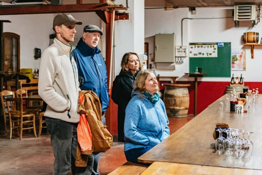 From Lyon: Golden Stones Beaujolais Wine Tasting Tour - Finish at a family winery: the mâchon moment and the winemaker conversation