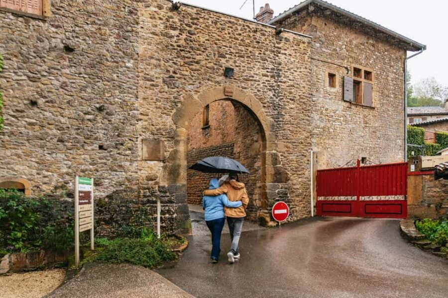 From Lyon: Golden Stones Beaujolais Wine Tasting Tour - Who should book this Beaujolais Golden Stones tour