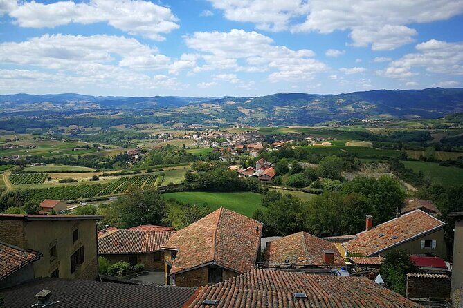 Full-Day Beaujolais Wine Tour - Picnic Lunch Included - Key highlights to look for