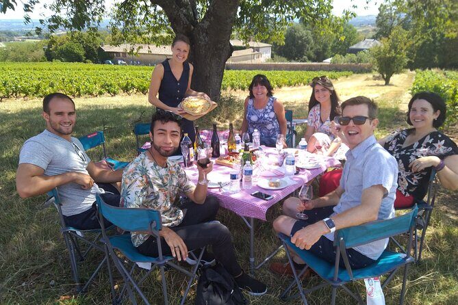 Full-Day Beaujolais Wine Tour - Picnic Lunch Included - Brouilly in the afternoon: another family winery, a different angle